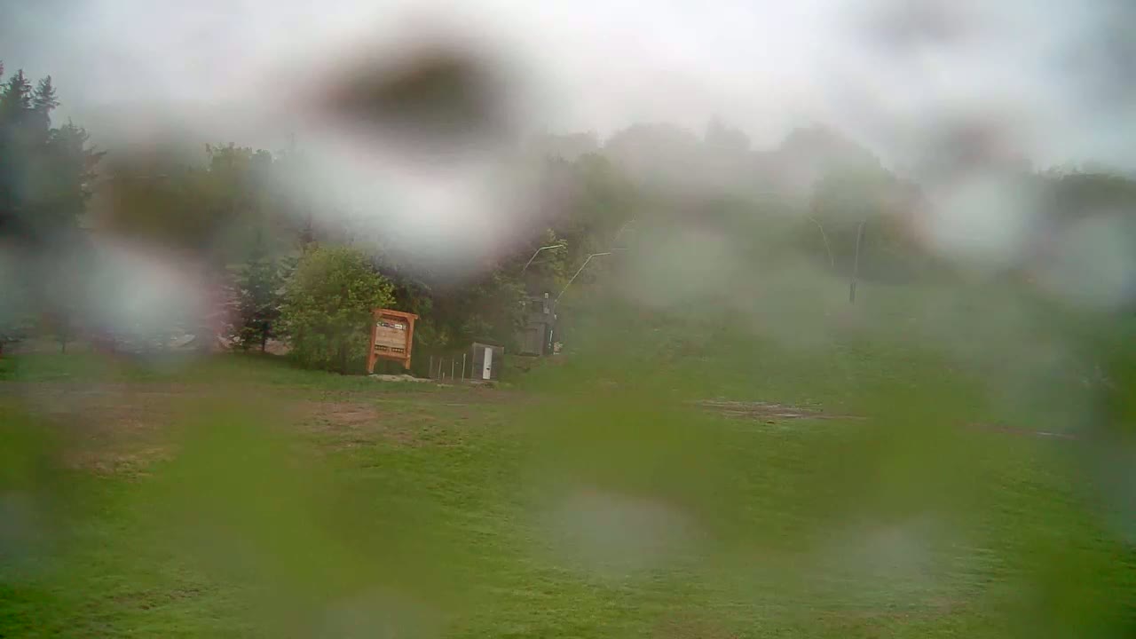 A grassy field with trees and a small wooden sign in the background is viewed through a rain-covered surface.