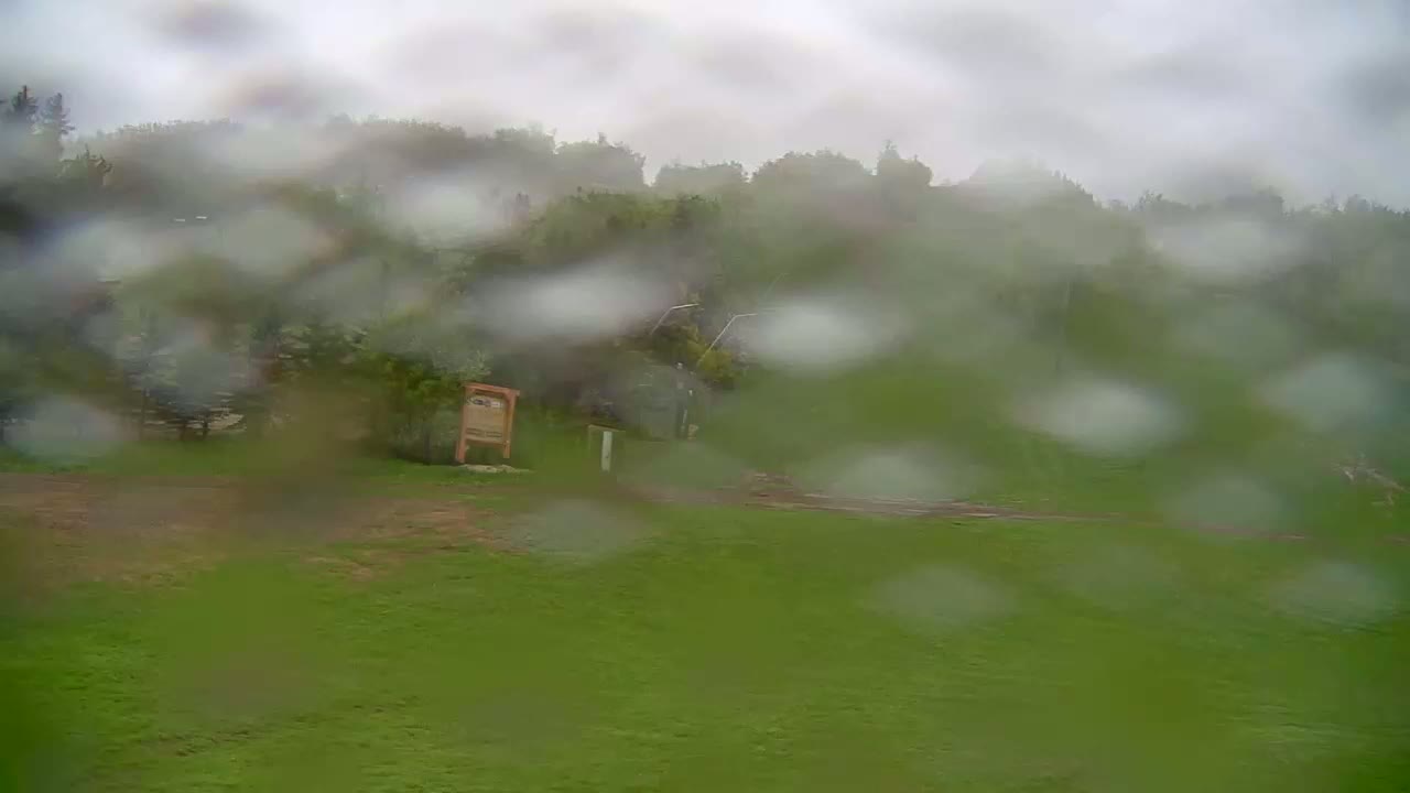 Rain streaks a blurry view of a grassy field and a wooded hillside in the background.