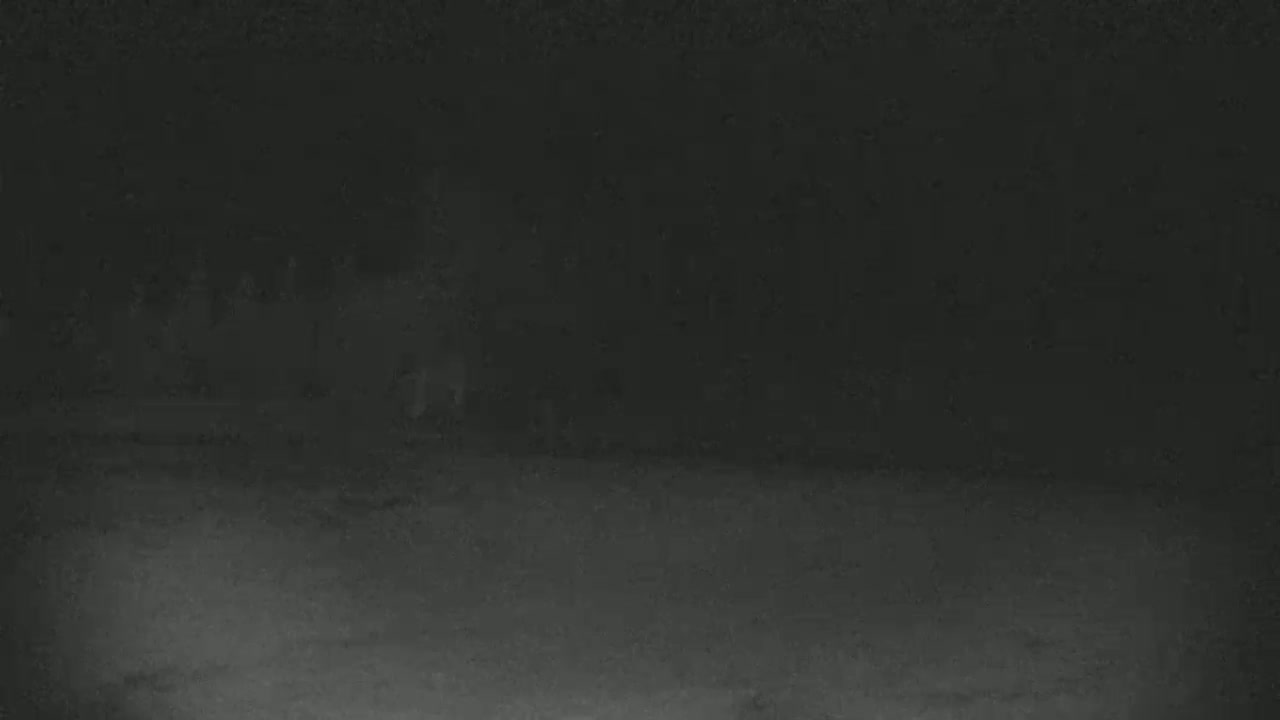 Blue Mountain North Base Ski Slopes Live Cam - Collingwood, Blue Mountains, Simcoe, Ontario, Canada