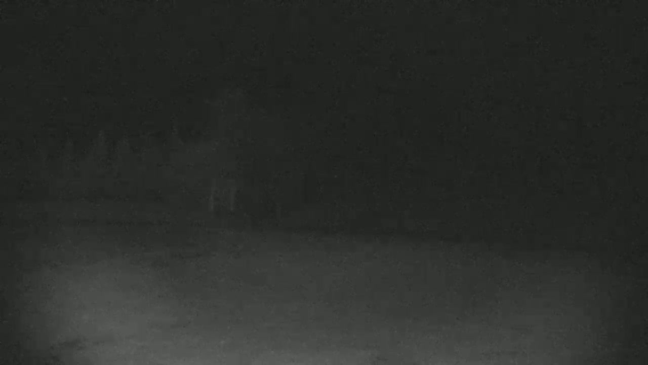 A blurry, dark image shows indistinct shapes suggesting objects or figures in low-light conditions.