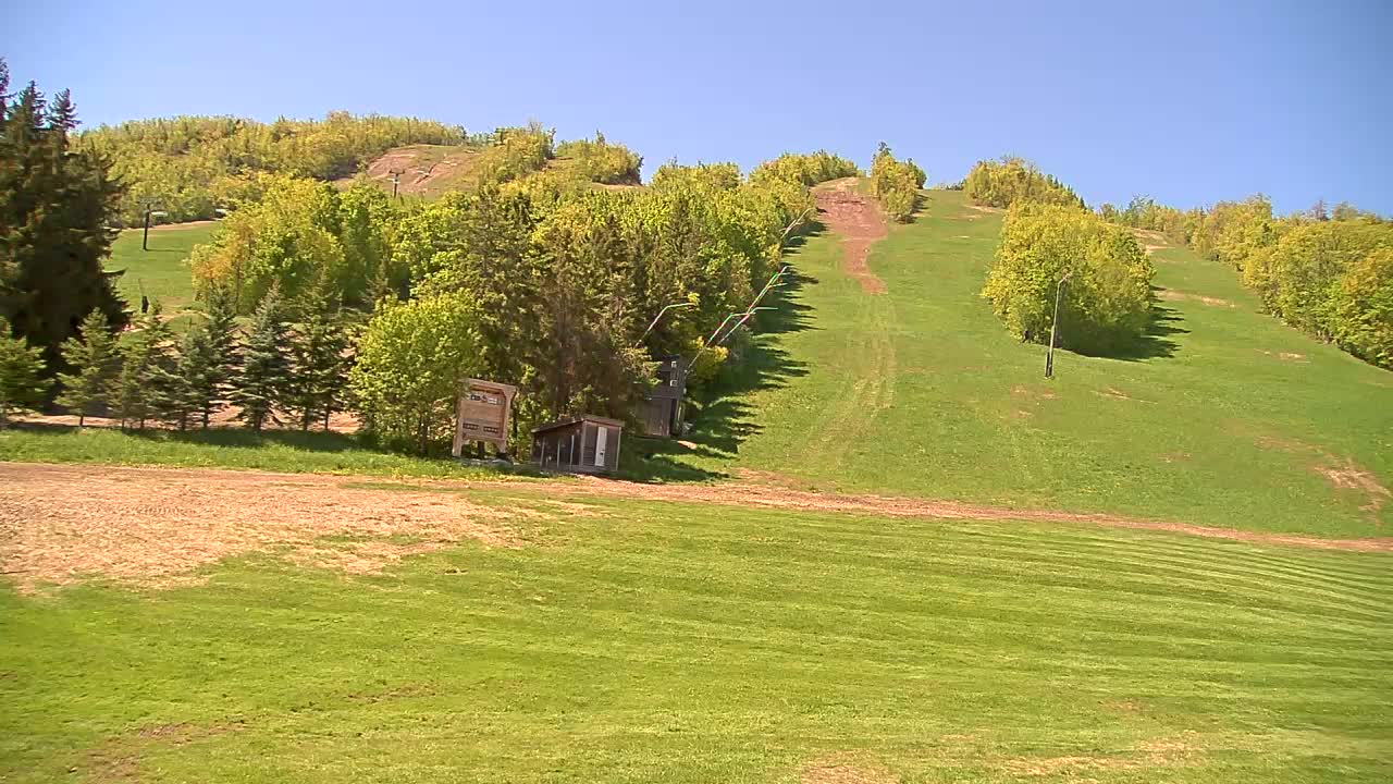 A grassy ski hill in the summer, with trees lining its sides and a small building at the base, under a clear blue sky.