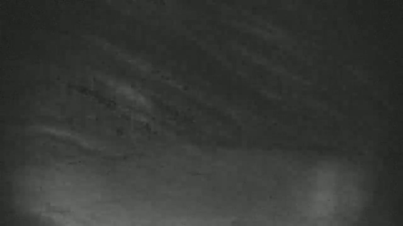A dark, overcast sky shows faint, blurry clouds.