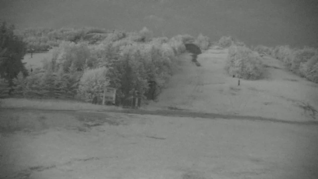 A snowy landscape shows a line of trees on a hill with a snow-covered area below.