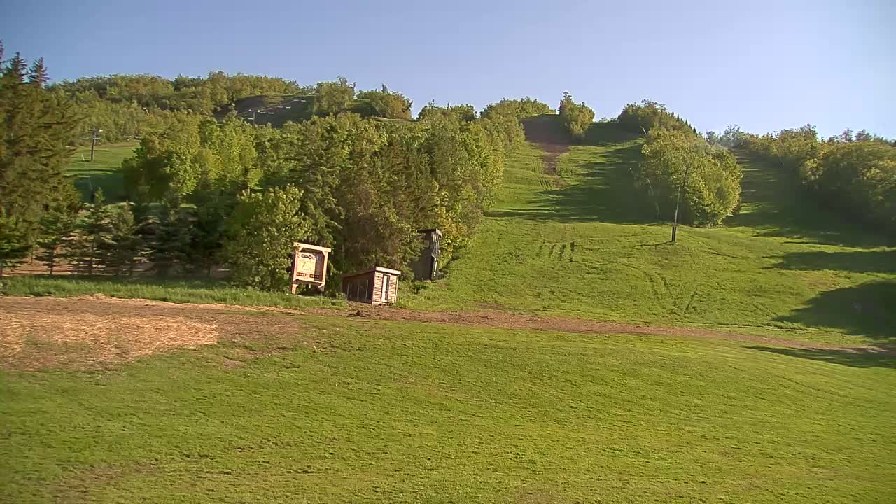 A grassy hillside covered in lush green vegetation, featuring a small building and a signpost near the bottom, under a clear blue sky.
