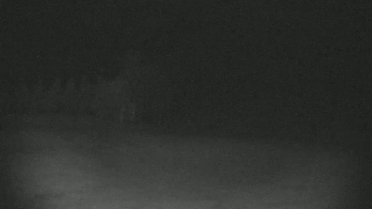A blurry, low-light image shows a dark, possibly snowy or foggy, landscape at night.