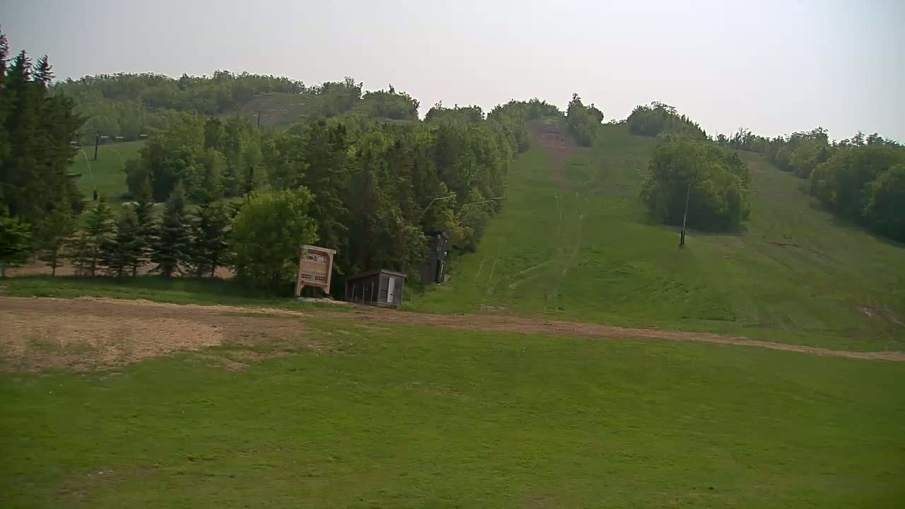 A grassy hillside, sparsely dotted with trees, slopes upward to a tree line under a hazy sky.