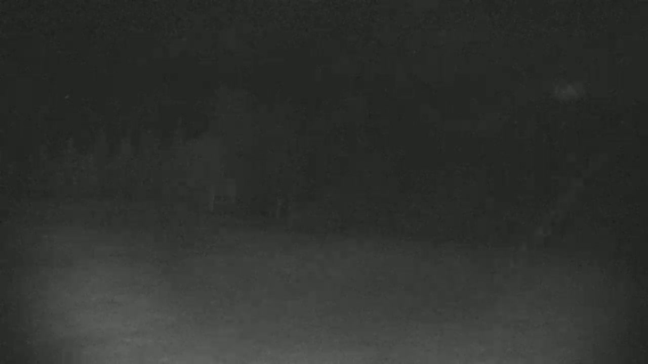 Blue Mountain North Base Ski Slopes Live Cam - Collingwood, Blue Mountains, Simcoe, Ontario, Canada