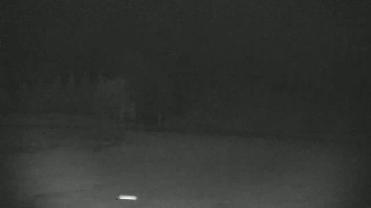 A blurry, dark image shows several indistinct figures standing in a dimly lit, outdoor space at night.