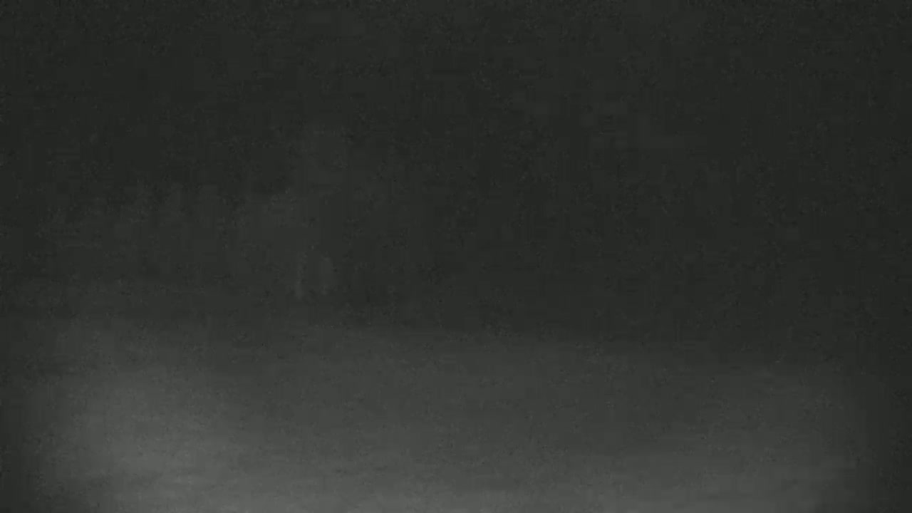 A blurry, dark image shows indistinct shapes suggestive of people in a foggy or smoky environment at night.