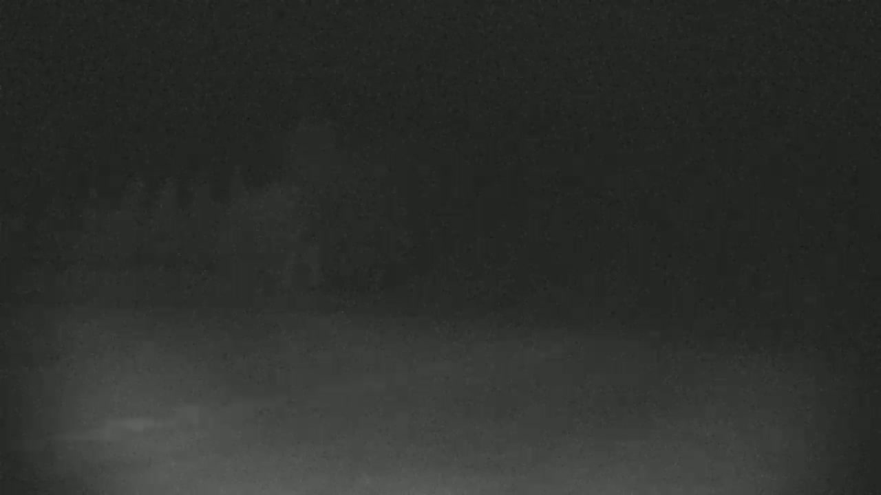 A blurry, dark image shows indistinct shapes in the distance through a hazy, possibly foggy atmosphere.