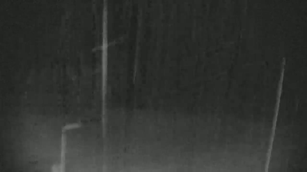 The image shows heavy rain falling at night.