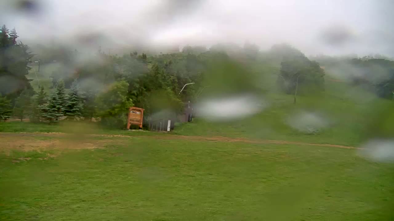 Rain-streaked glass obscures a view of a grassy field, trees, and a small wooden sign in a misty, outdoor setting.
