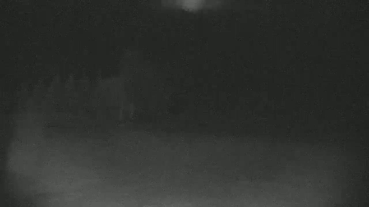 Blue Mountain North Base Ski Slopes Live Cam - Collingwood, Blue Mountains, Simcoe, Ontario, Canada