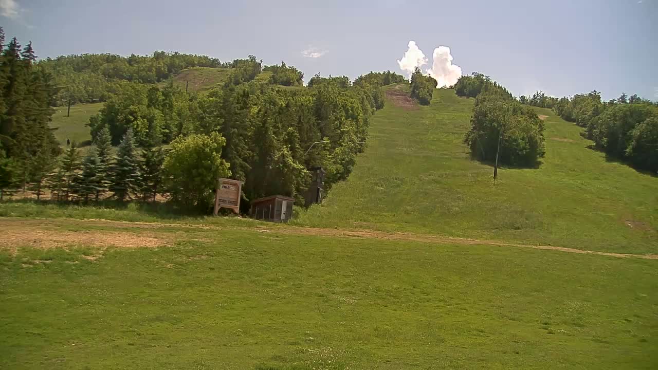 A grassy hillside, mostly covered in green trees, with a small building and a mostly clear sky.