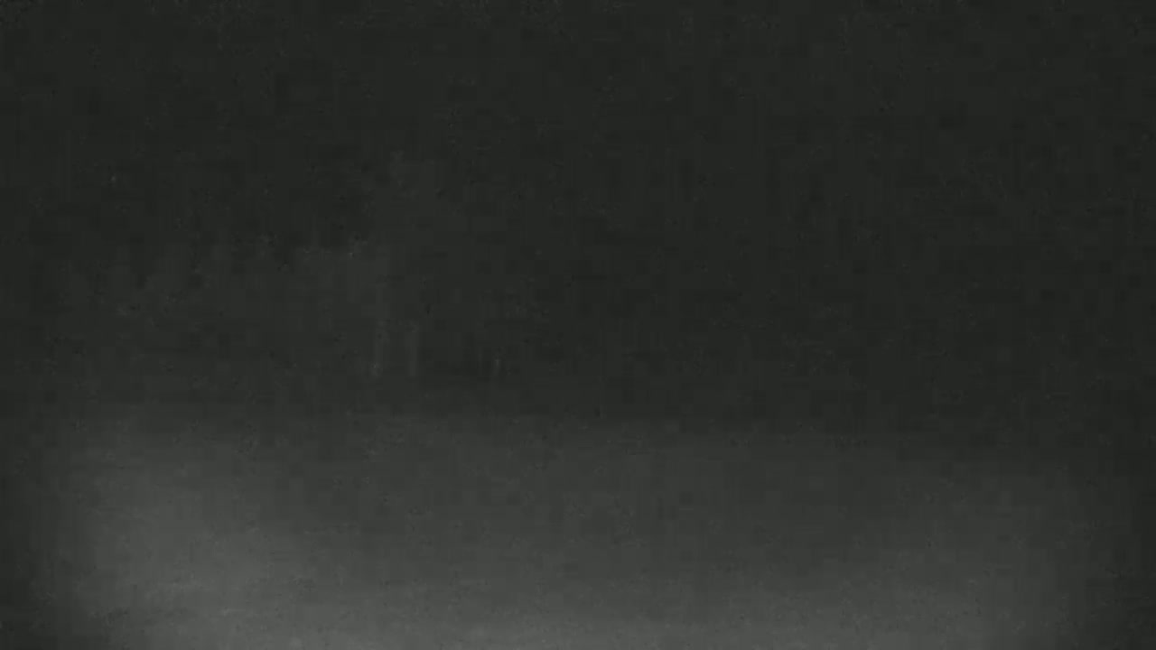 Blue Mountain North Base Ski Slopes Live Cam - Collingwood, Blue Mountains, Simcoe, Ontario, Canada