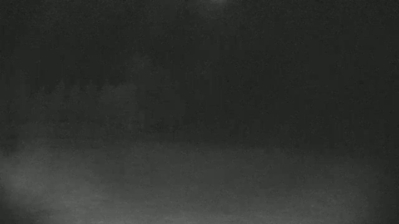 A dark, blurry image shows a snowy, nighttime scene with indistinct trees in the background.