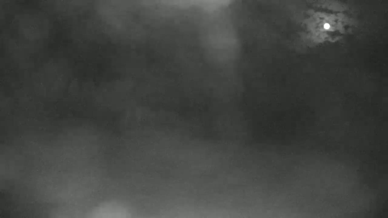 Blue Mountain North Base Ski Slopes Live Cam - Collingwood, Blue Mountains, Simcoe, Ontario, Canada