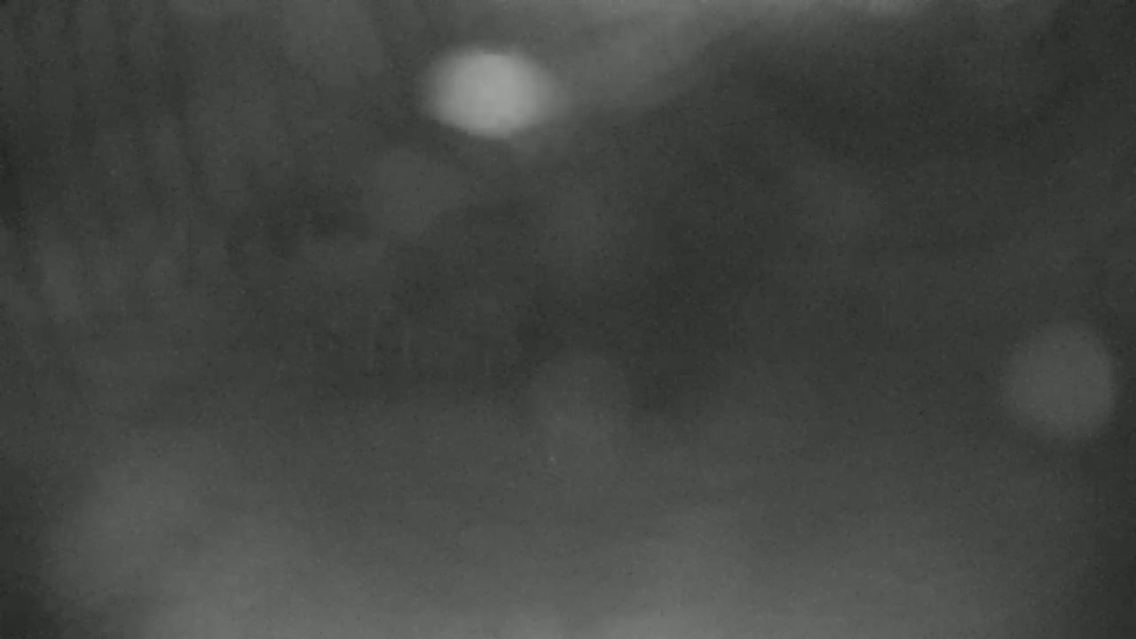 A blurry, dark grayscale image shows out-of-focus lights in a foggy or snowy setting.