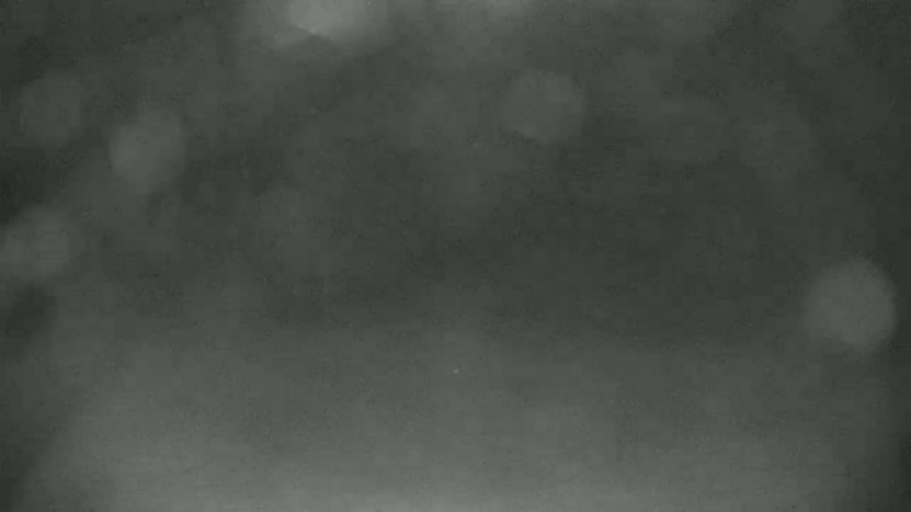 Blue Mountain North Base Ski Slopes Live Cam - Collingwood, Blue Mountains, Simcoe, Ontario, Canada