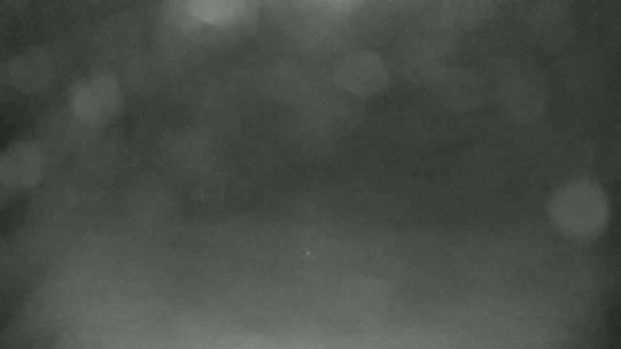Blue Mountain North Base Ski Slopes Live Cam - Collingwood, Blue Mountains, Simcoe, Ontario, Canada