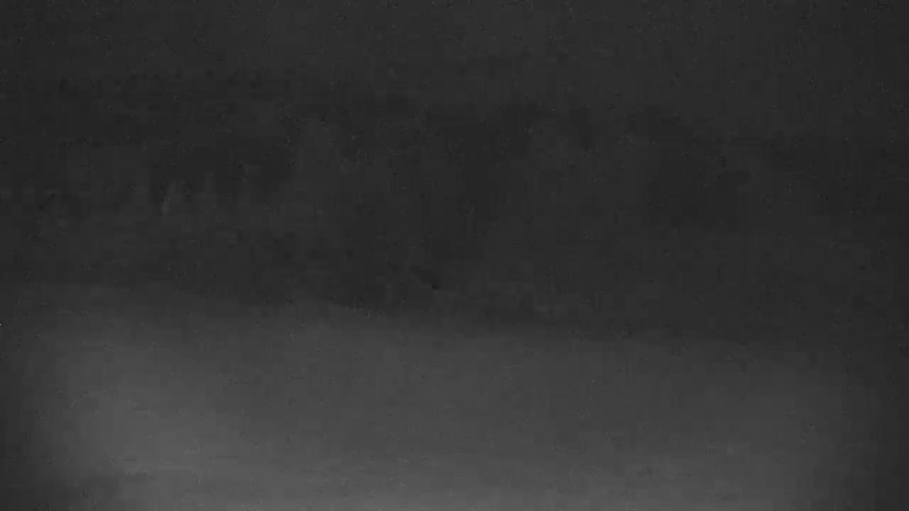 Blue Mountain North Base Ski Slopes Live Cam - Collingwood, Blue Mountains, Simcoe, Ontario, Canada