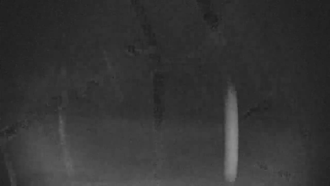 A dark, grainy, low-light image displays a bright, vertical, blurred object on the right side against an indistinct, shadowy background.