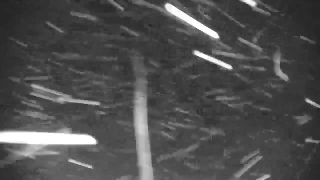 Blue Mountain North Base Ski Slopes Live Cam - Collingwood, Blue Mountains, Simcoe, Ontario, Canada