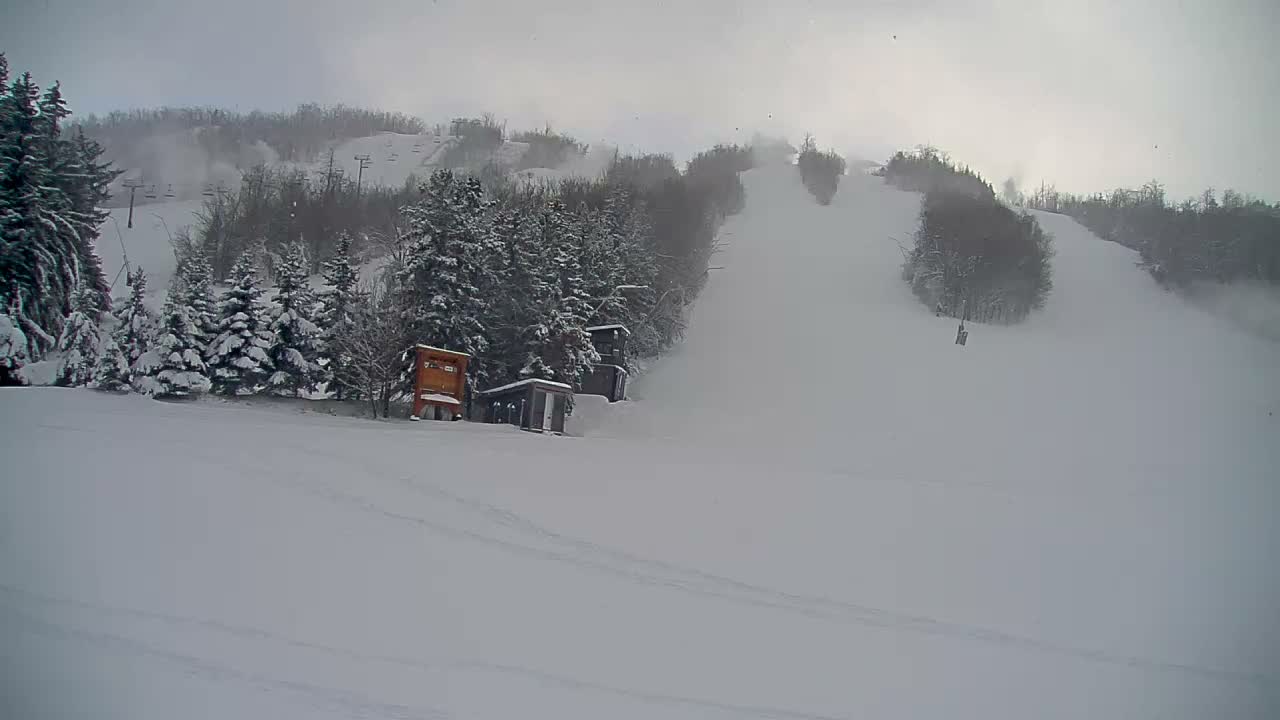 An extremely dark and grainy black-and-white image reveals an indistinct outdoor scene at night, with only faint variations in shade suggesting a distant horizon and vague landscape features.