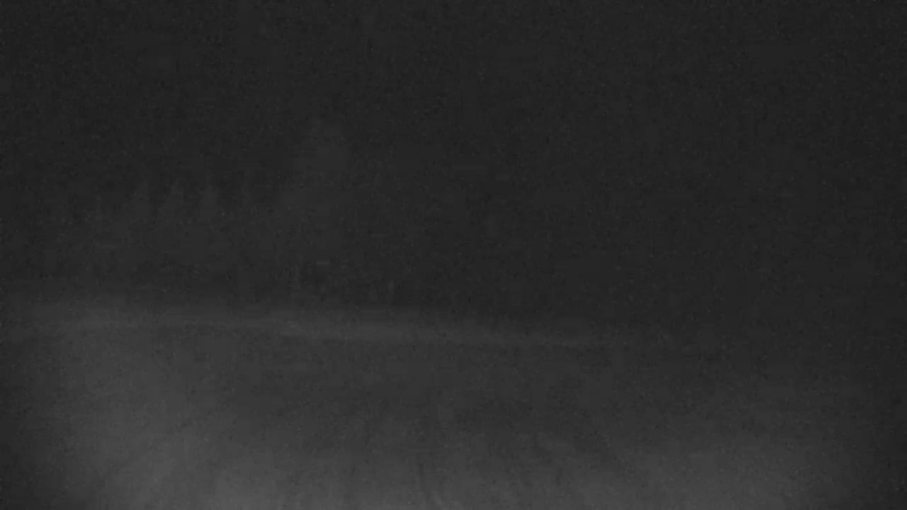 Blue Mountain North Base Ski Slopes Live Cam - Collingwood, Blue Mountains, Simcoe, Ontario, Canada