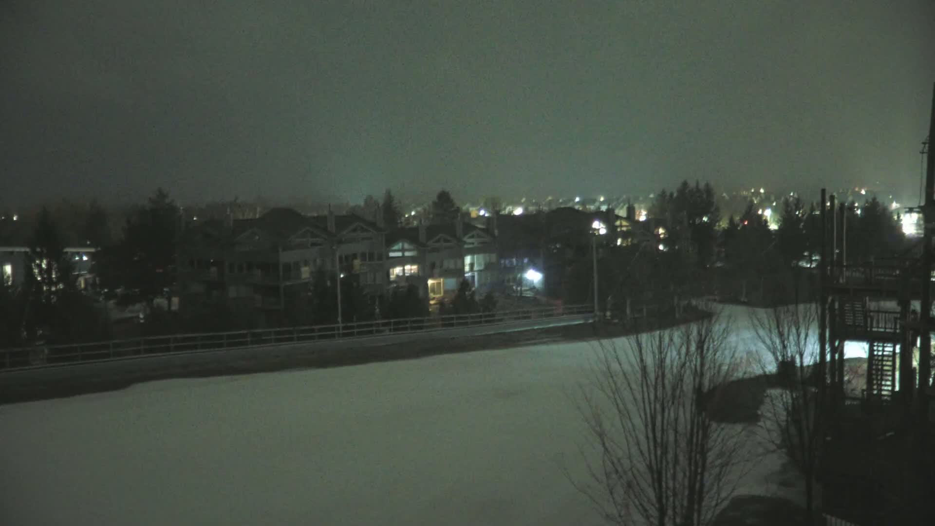 A snow-covered field at night is seen from a distance, with a row of houses and trees illuminated by streetlights in the background under a dark, snowy sky.