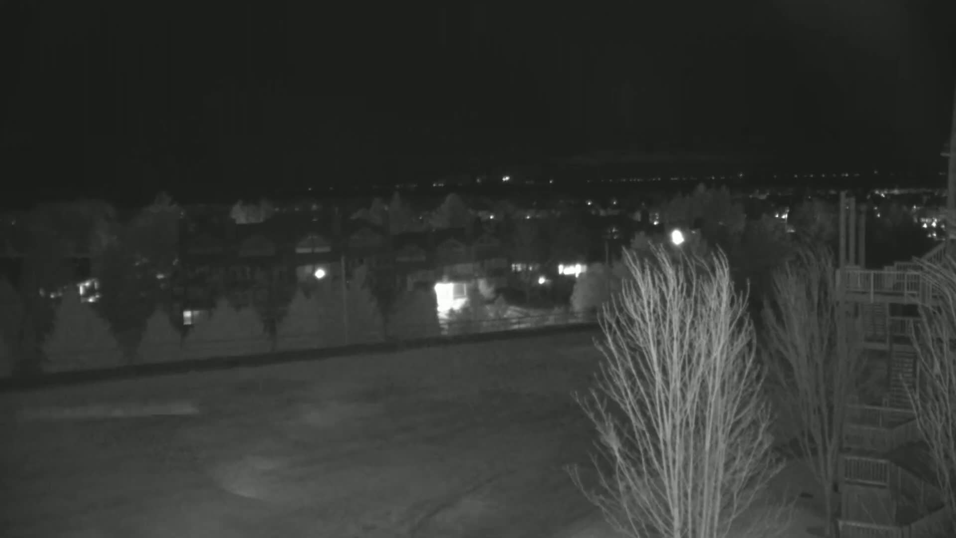 A nighttime, low-light view of a residential area with sparsely-leafed trees in the foreground and a distant cityscape illuminated by faint lights.