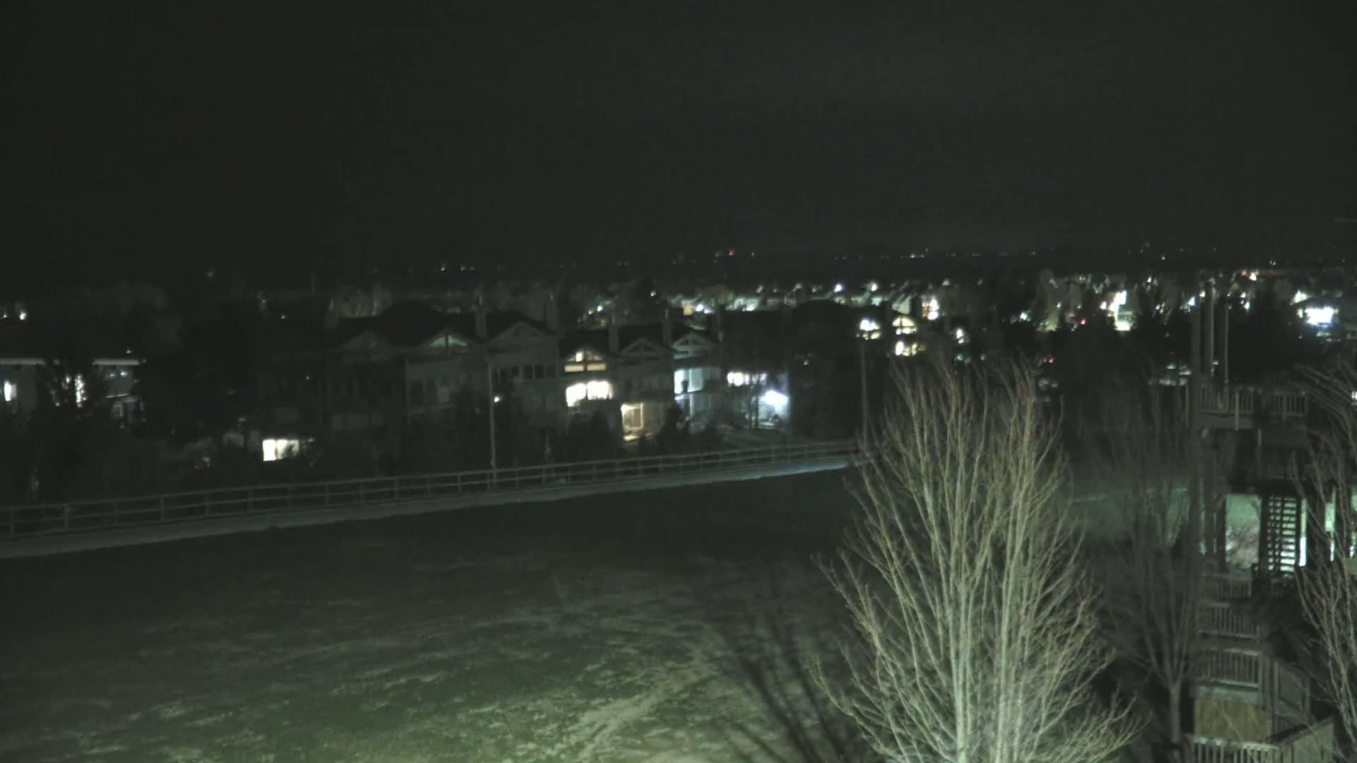 A nighttime view of a snow-covered field with a row of houses and a bare tree in the foreground.