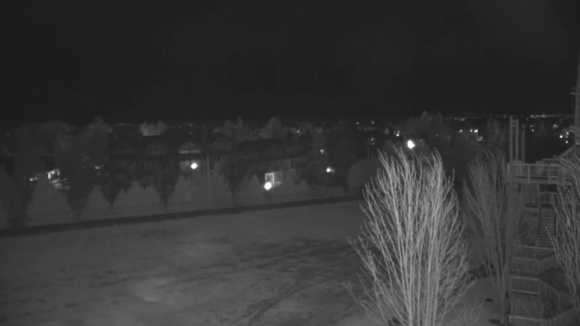 A nighttime, black-and-white view of a snow-covered ground with leafless trees in the foreground and a residential area with dim lights in the background.