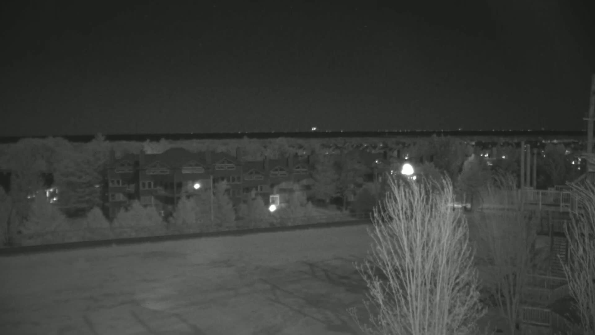 A nighttime, low-light image shows a row of houses and trees, with a distant horizon visible under a clear sky.