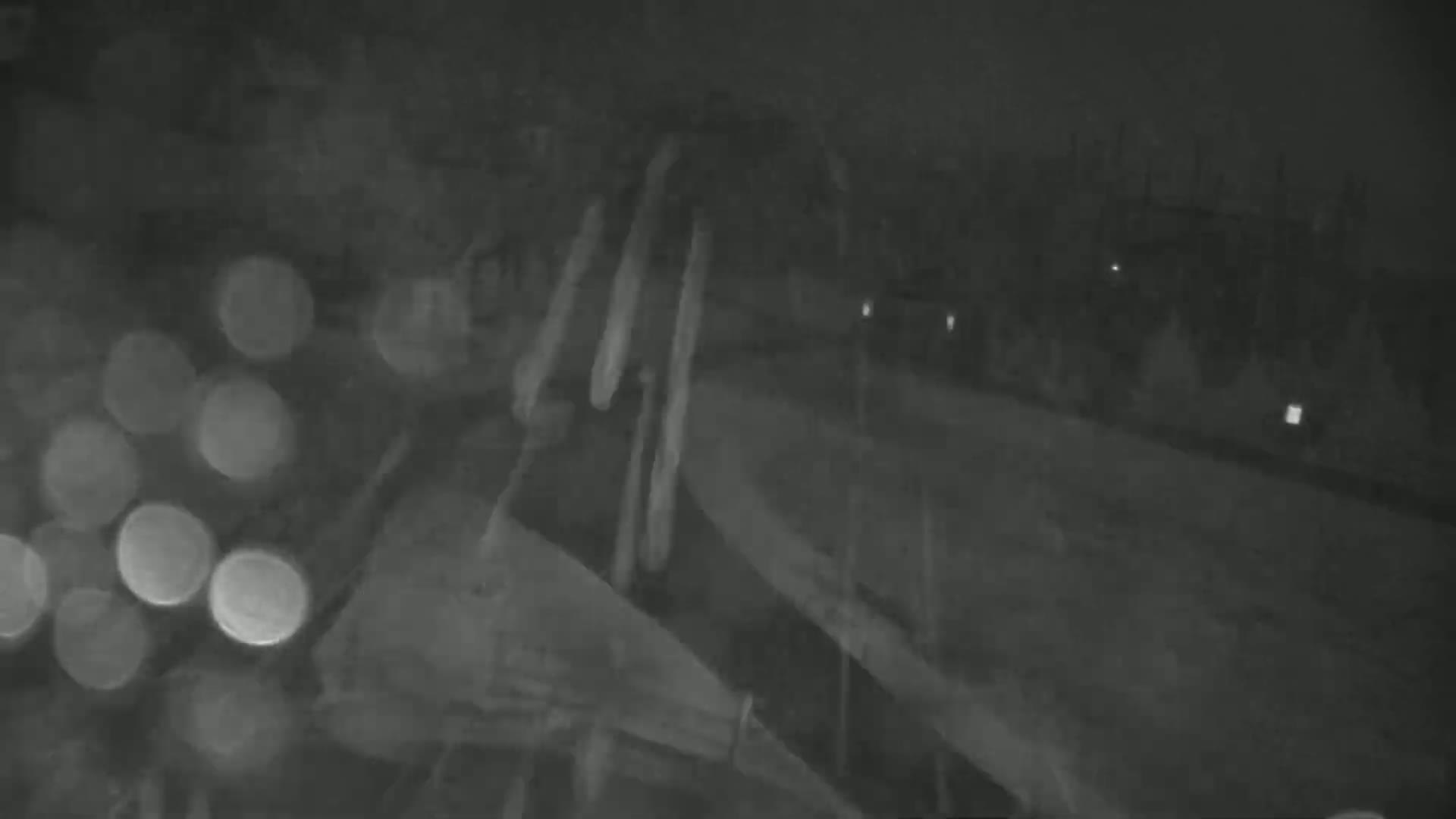 A blurry nighttime image shows a pile of round objects, possibly logs, in the foreground with a dark, indistinct background.