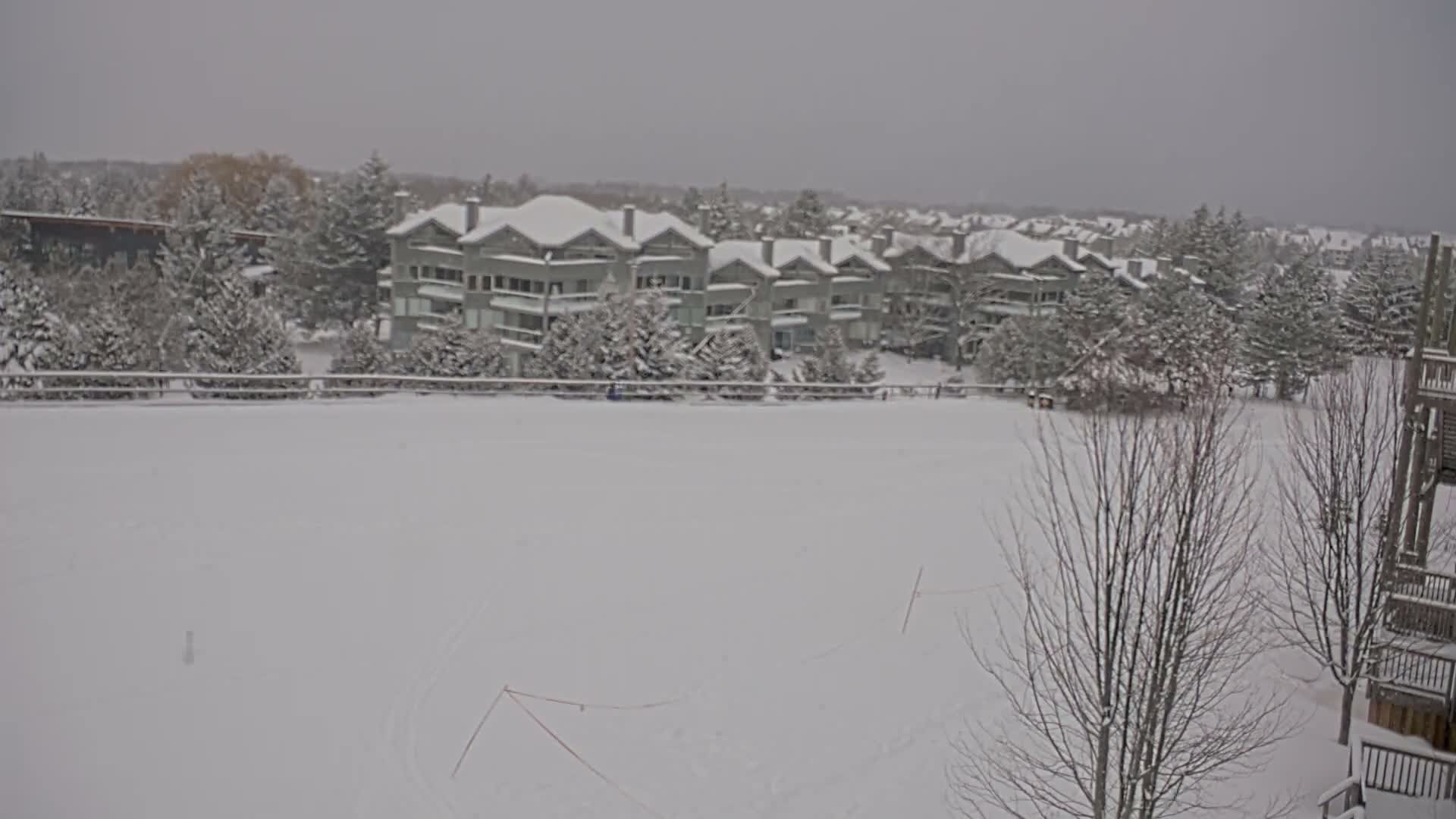 A nighttime winter scene shows a snow-covered field with numerous tracks in the foreground, leading to a distant residential area of illuminated houses under a dark, clear sky.