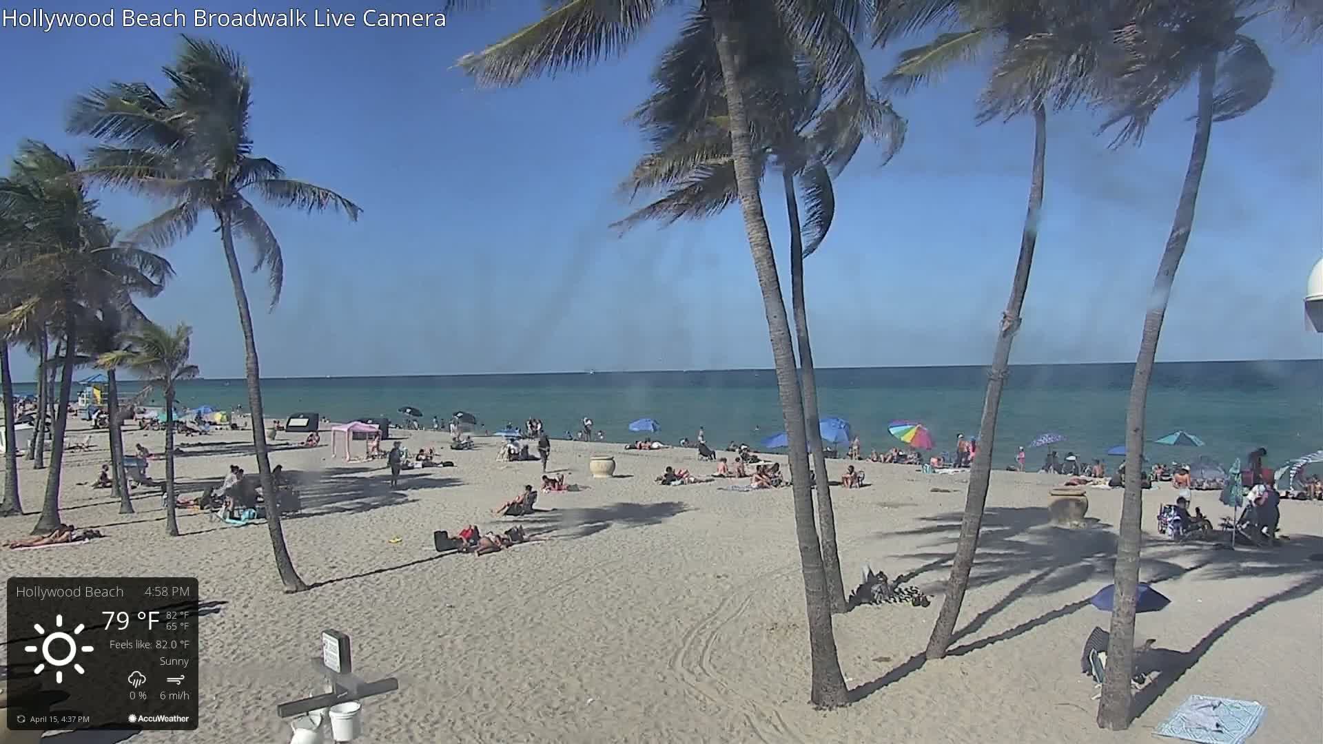 A sunny beach scene with palm trees swaying in a light breeze, showing people relaxing on the sand and in the water.