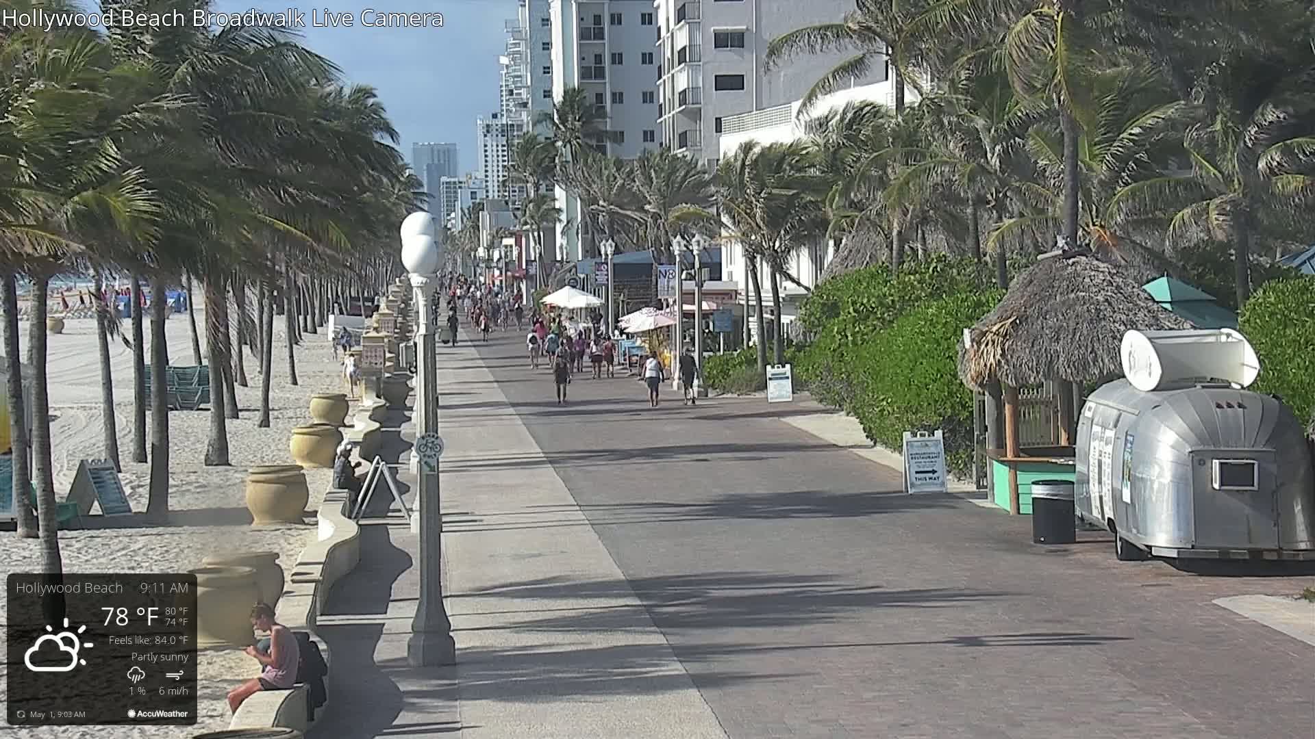 A partly sunny beach boardwalk with people walking, palm trees lining the path, and a sandy beach visible in the background.