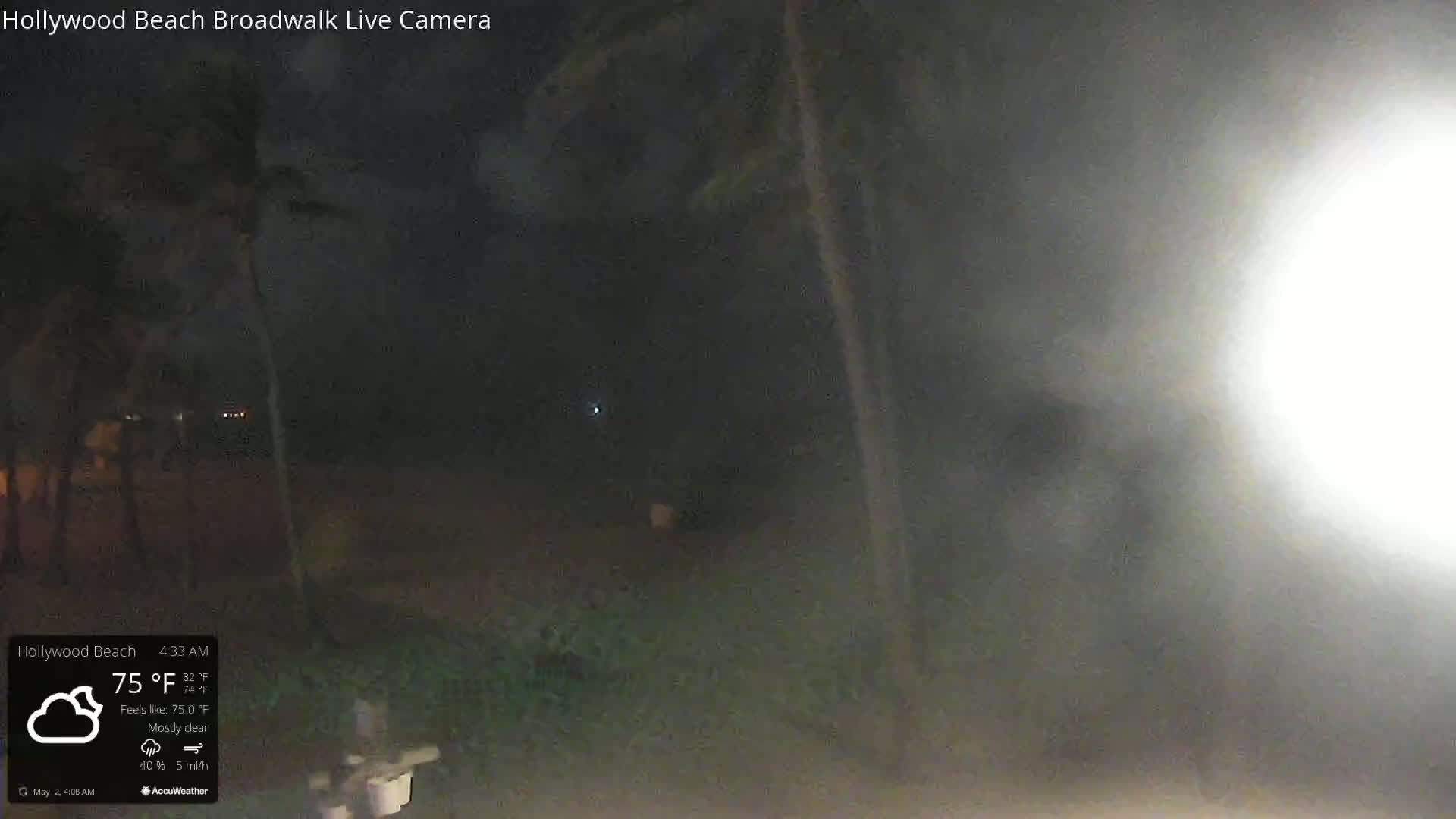 A nighttime, mostly clear scene shows palm trees and a beach under a bright light source.