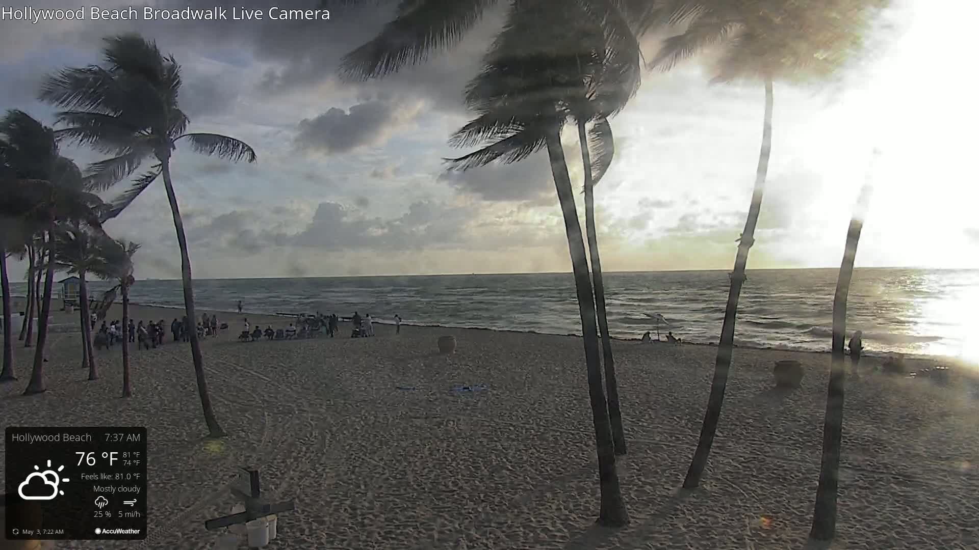 A mostly cloudy morning at a beach shows palm trees bending in a five-mile-per-hour wind, with people gathered on the sandy shore near the ocean.