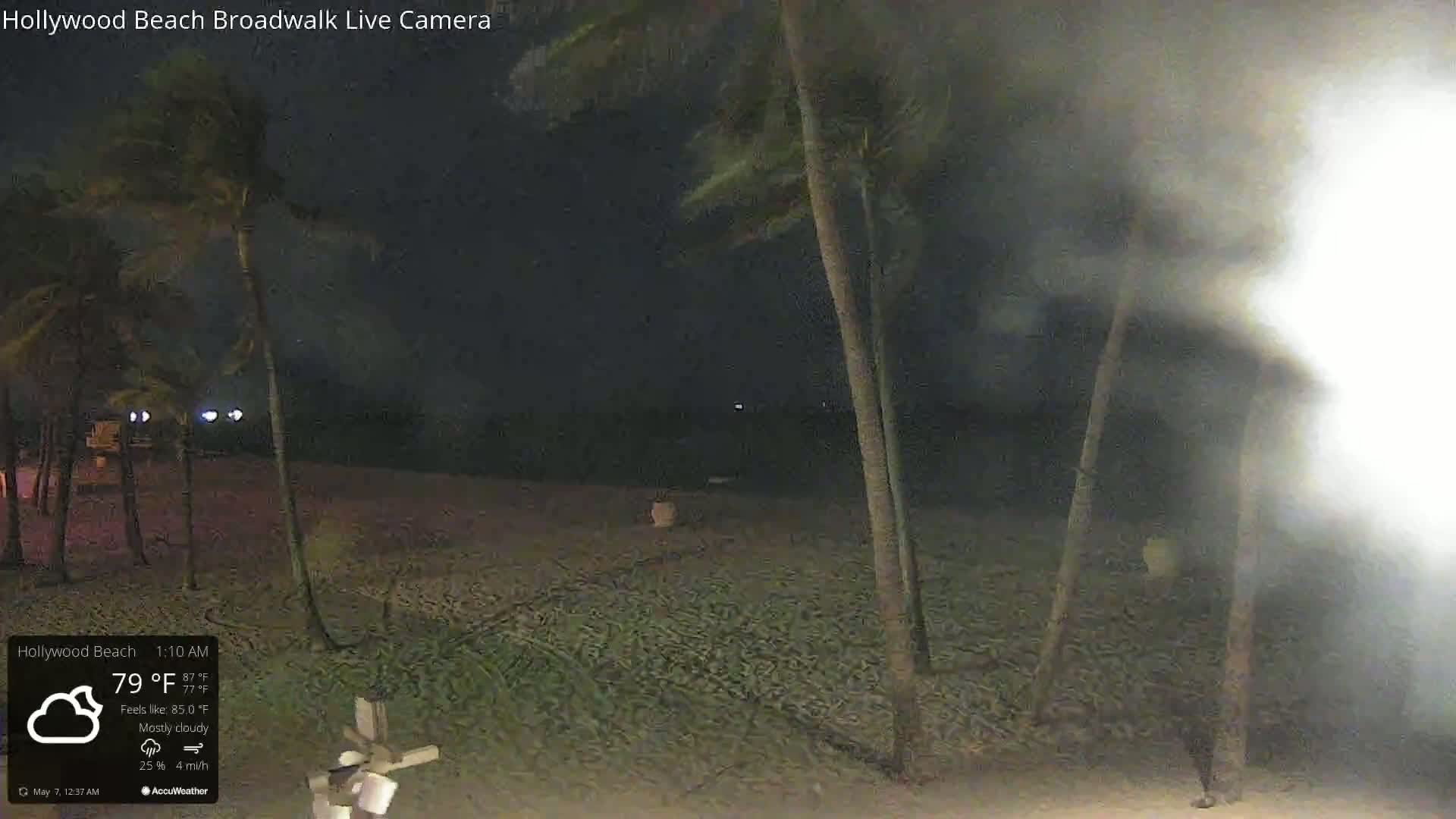 A mostly cloudy night scene shows a beach with palm trees blowing in the wind.