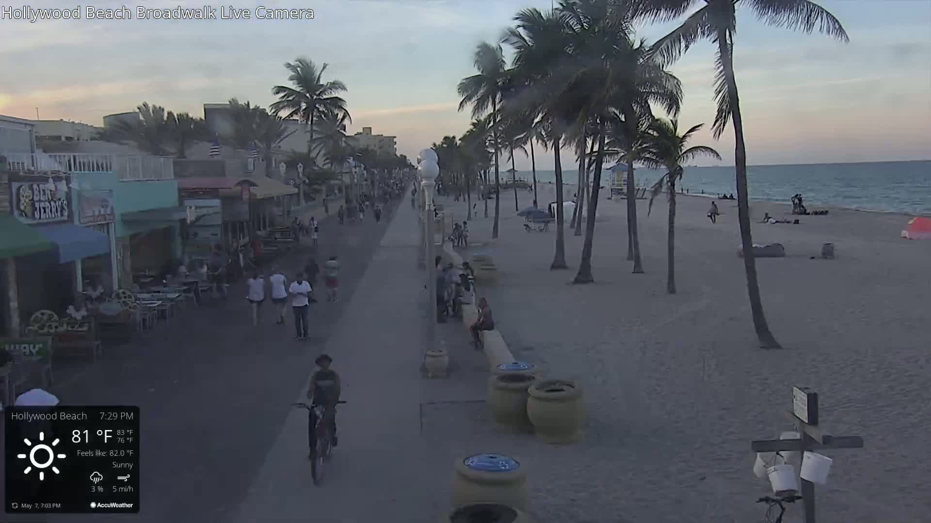 A sunny beachfront boardwalk with palm trees, people walking and sitting, and a cyclist riding along the path at sunset.