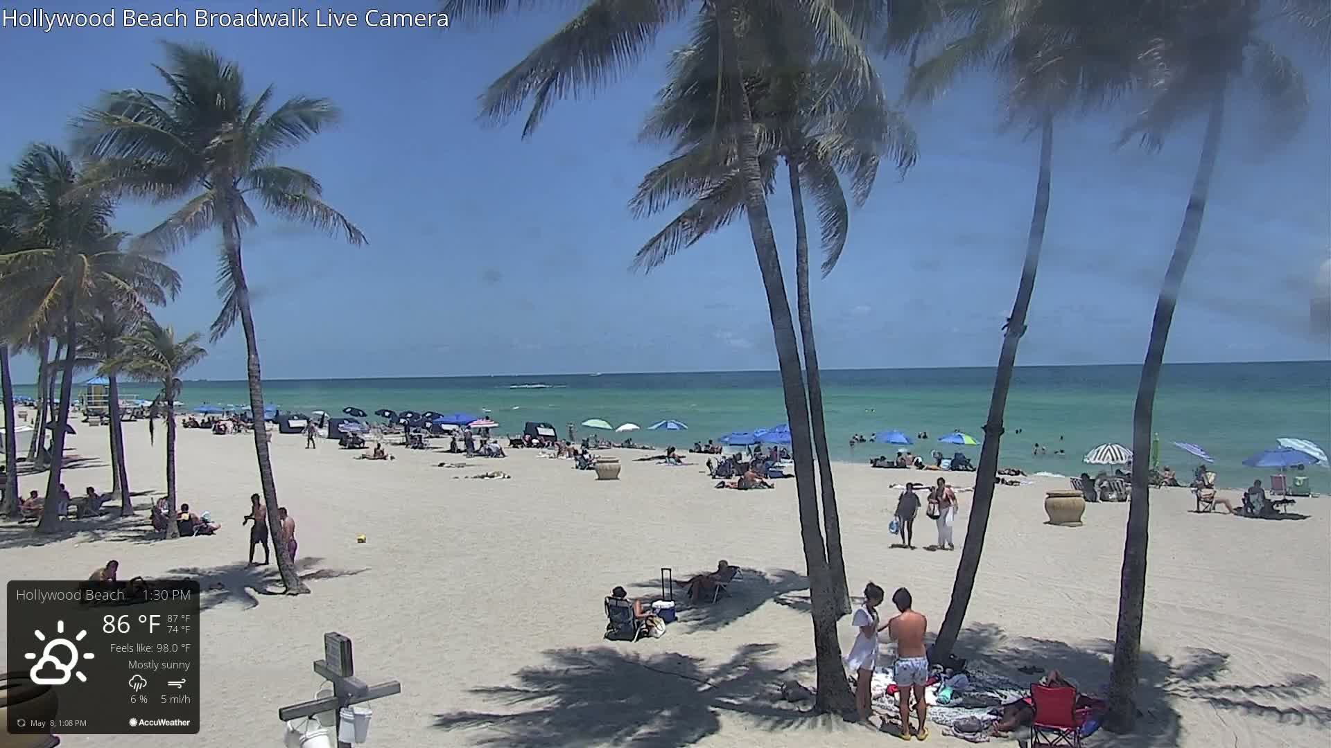 A mostly sunny beach scene shows many people relaxing under umbrellas on a sandy beach with palm trees in the foreground, and a calm, light-blue ocean in the background.