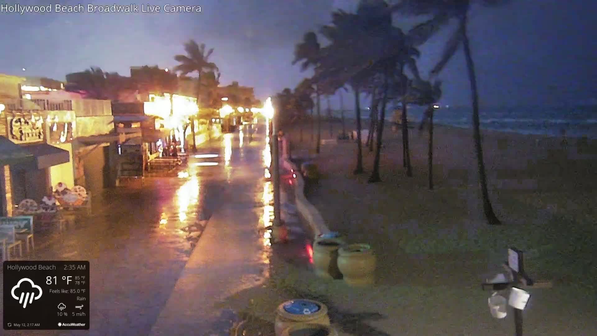 A rain-soaked boardwalk at night, illuminated by streetlights, leads to a beach with palm trees swaying in the wind under a dark, stormy sky.