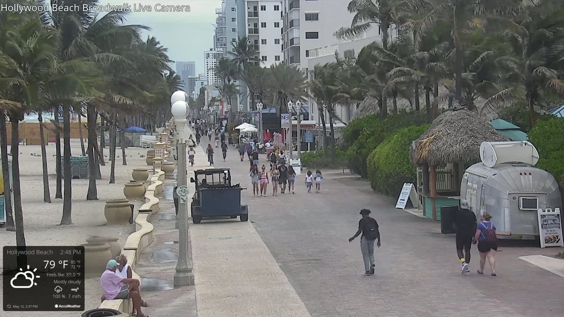 A mostly cloudy beach boardwalk with people walking, palm trees swaying in the wind, and a beach in the background.