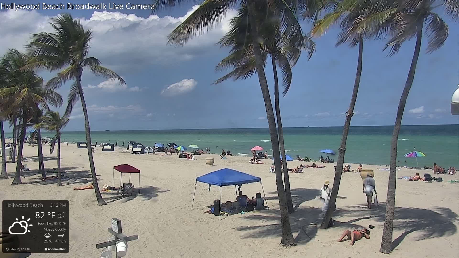 A mostly cloudy beach scene shows palm trees, people relaxing under umbrellas, and calm ocean waves.