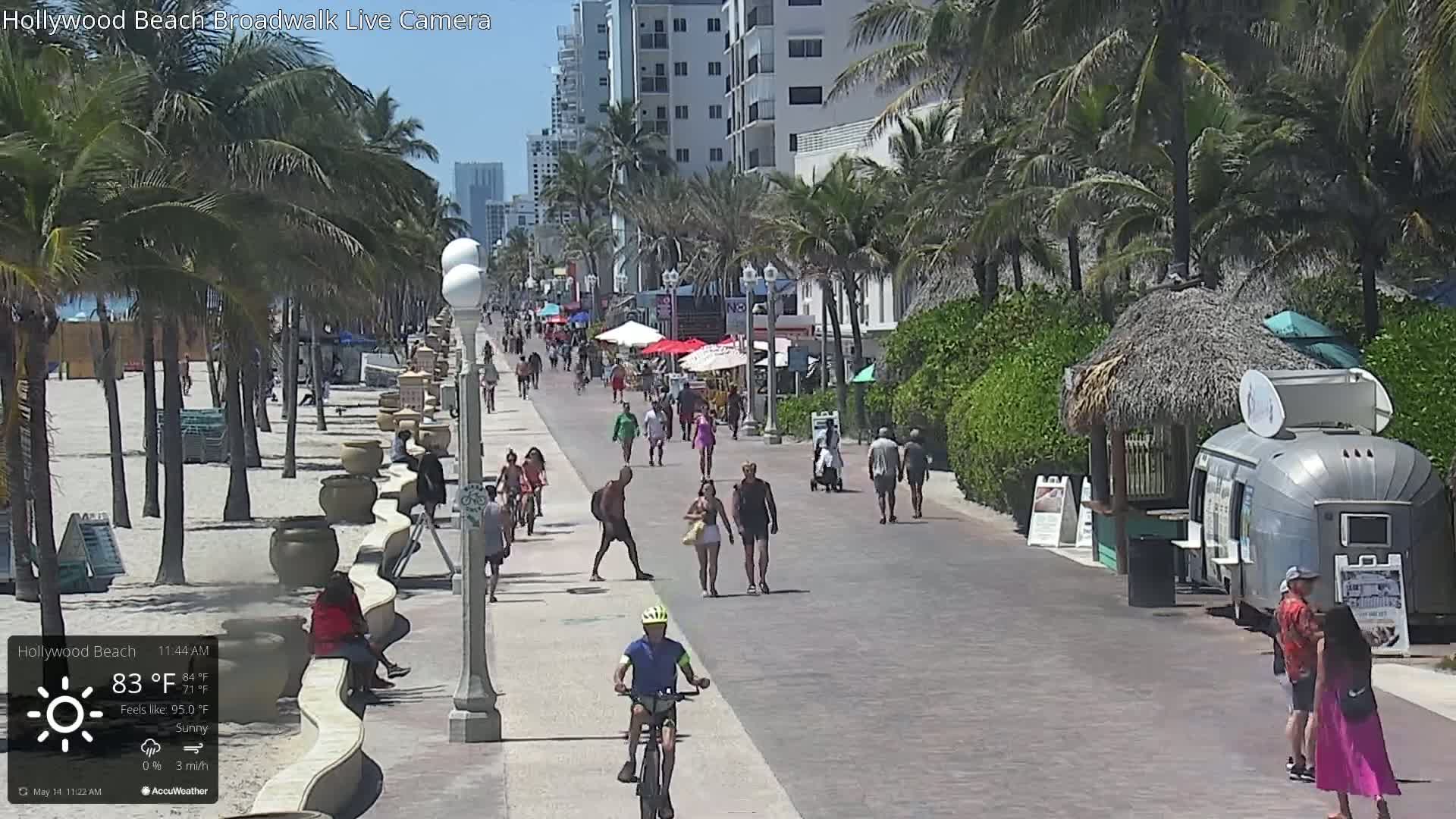 A sunny boardwalk scene shows people walking and biking along a paved path next to a beach with palm trees and beachside buildings.