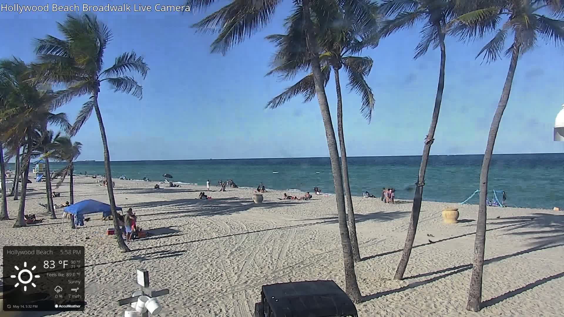 A sunny beach scene shows a sandy shore with scattered people, palm trees, and a calm ocean under a clear blue sky.
