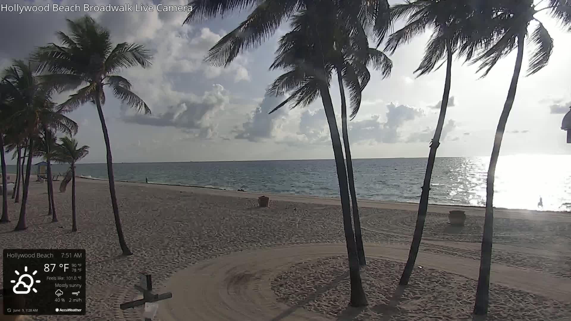 A mostly sunny beach scene with palm trees in the foreground and a calm ocean in the background, under partly cloudy skies and a light breeze.