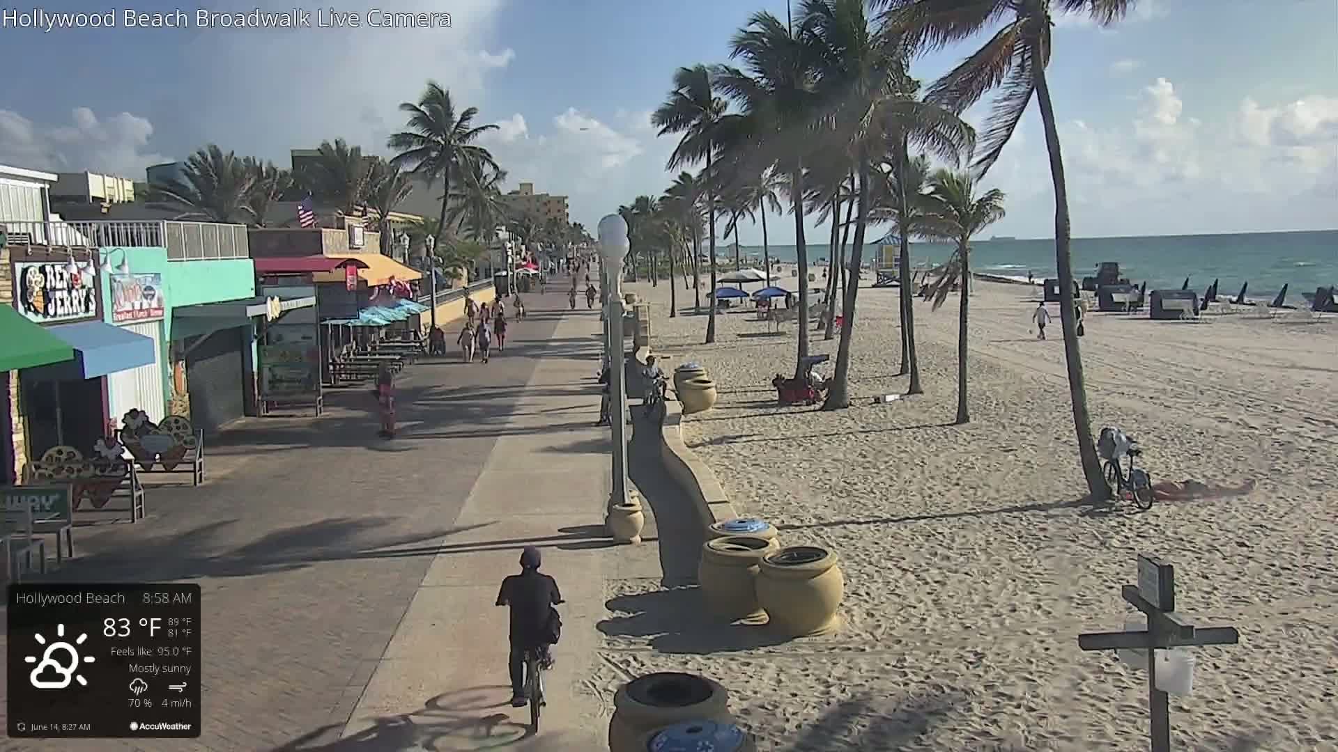 A mostly sunny beach boardwalk scene shows a sandy beach with palm trees, ocean, and several people walking and biking.